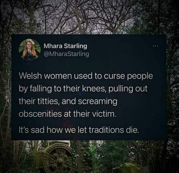 With Humor About Britain (24 pics)
