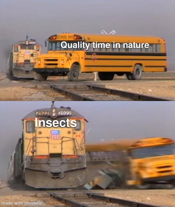Truthful Memes (24 pics)