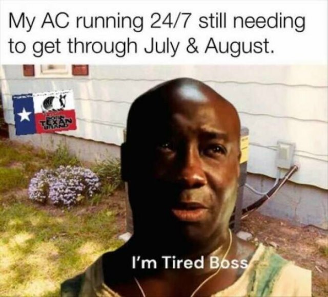Truthful Memes (24 pics)