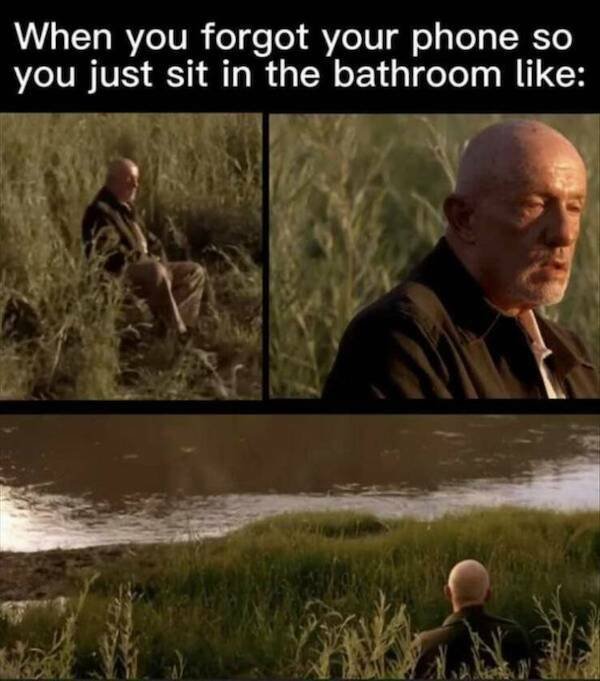 Truthful Memes (24 pics)