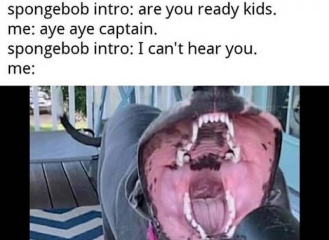 Truthful Memes (24 pics)