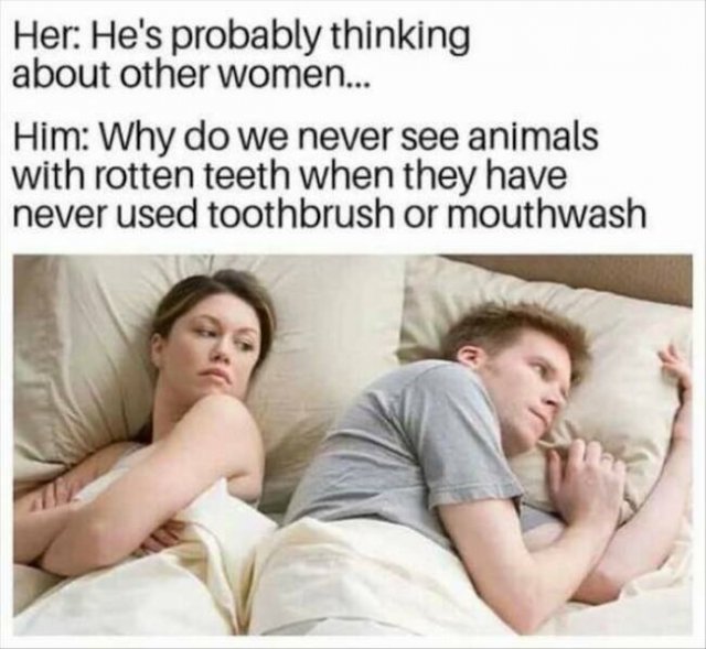 Truthful Memes (24 pics)