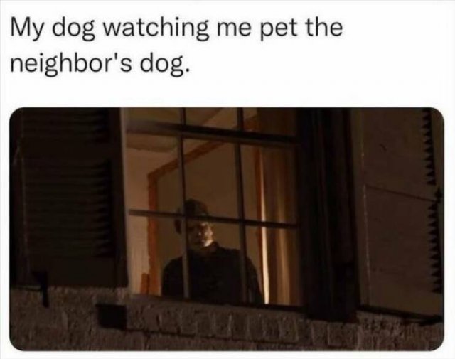 Truthful Memes (24 pics)