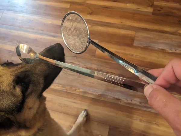 What Is That Thing? (15 pics)