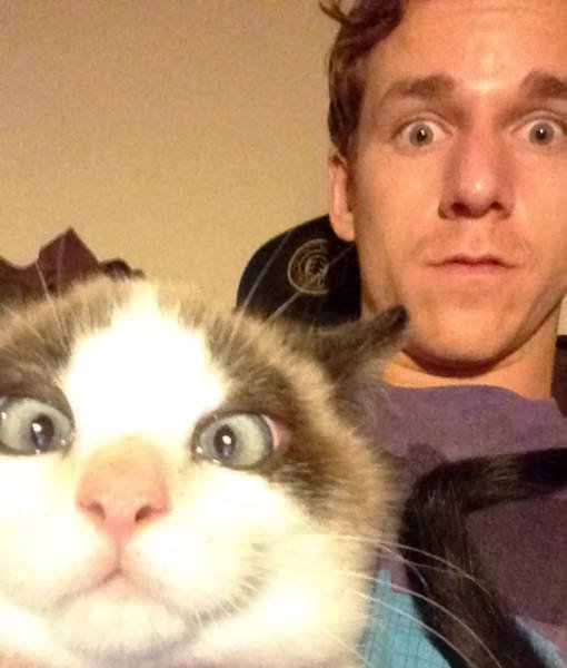 Funny Animals (48 pics)
