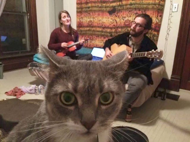 Funny Animals (48 pics)