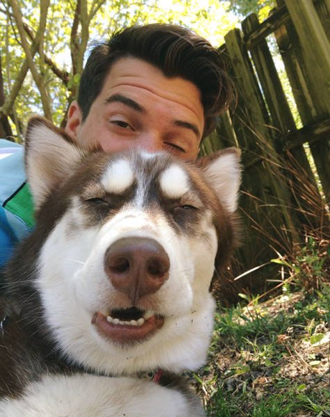 Funny Animals (48 pics)