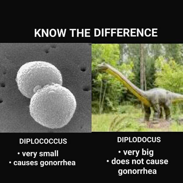 Science Memes (25 pics)