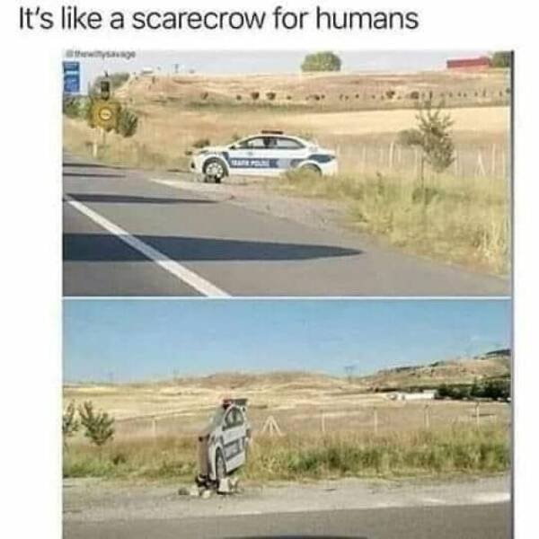 Science Memes (25 pics)