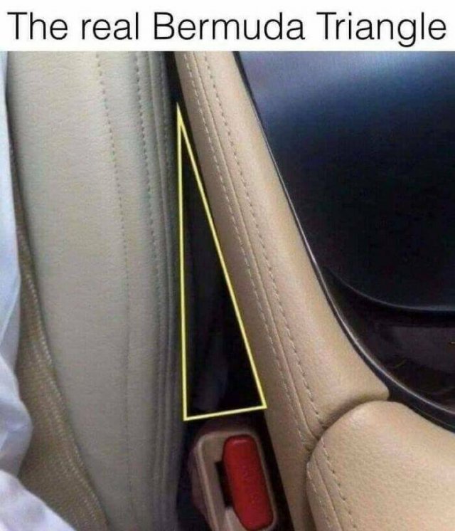Science Memes (25 pics)