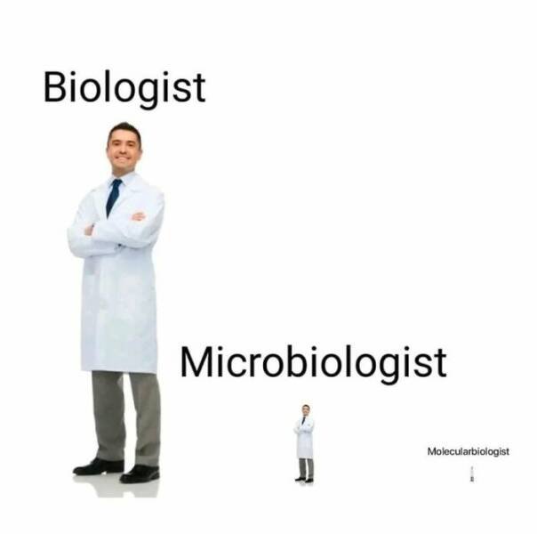 Science Memes (25 pics)
