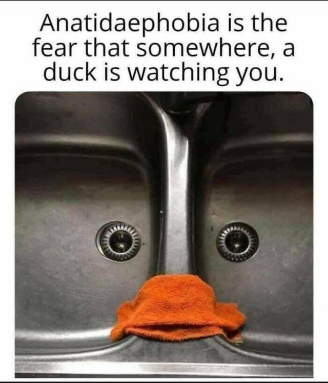 Science Memes (25 pics)