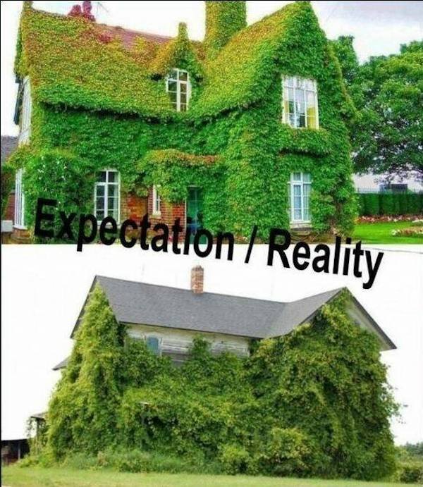 Expectations Against Reality  (39 pics)