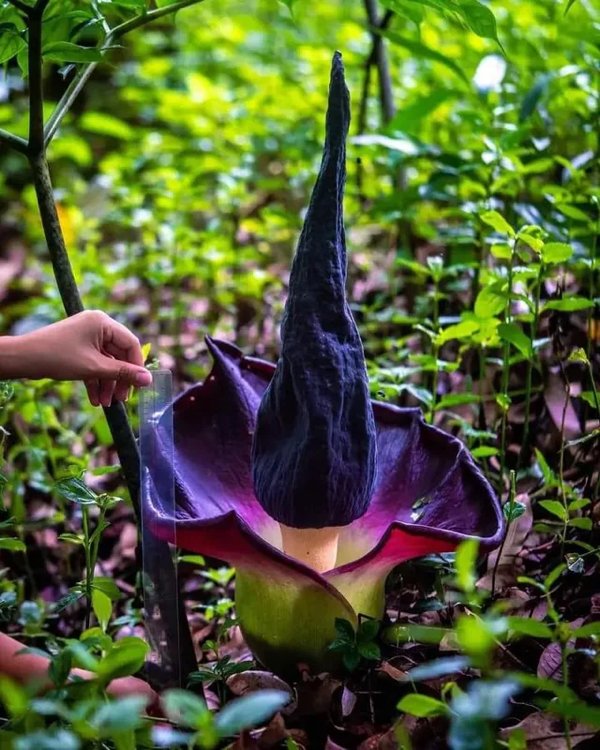 Cool And Interesting Finds From Around The World (24 pics)