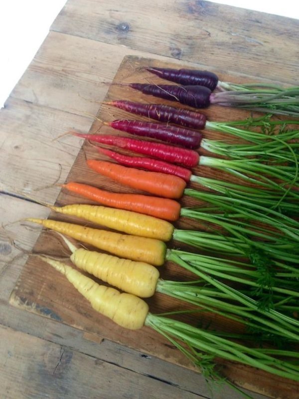 Photos For Perfectionists (22 pics)