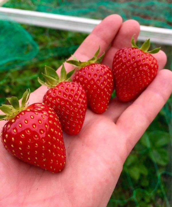 Photos For Perfectionists (22 pics)