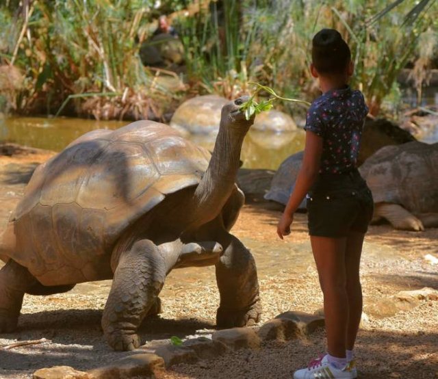 Creatures That Live Longer Than Humans (14 pics)
