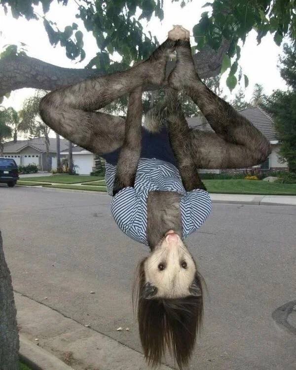 Awful Photoshop (28 pics)
