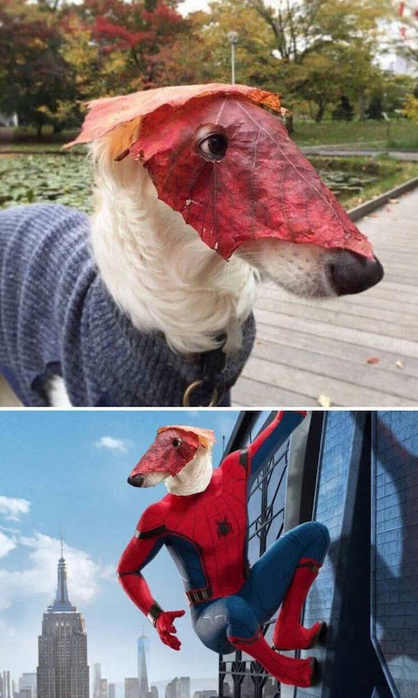 Awful Photoshop (28 pics)
