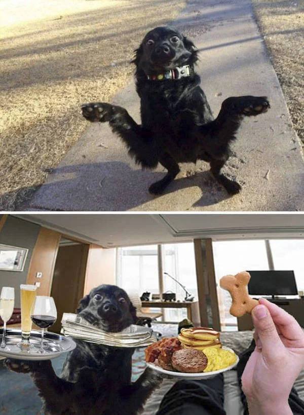 Awful Photoshop (28 pics)