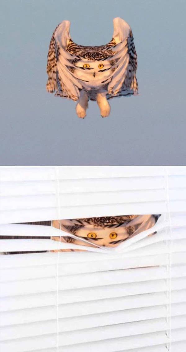 Awful Photoshop (28 pics)