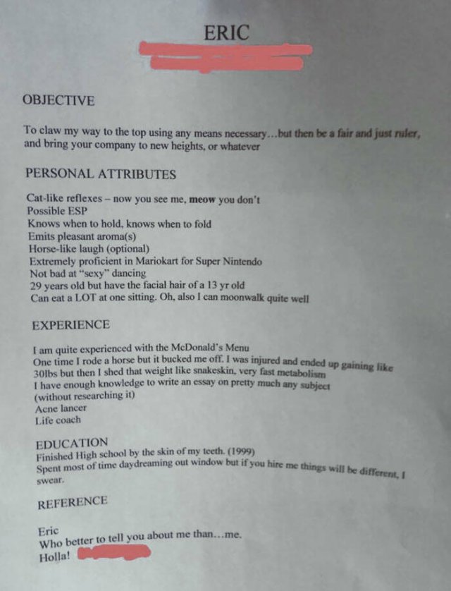 Unusual And Funny Resumes (20 pics)