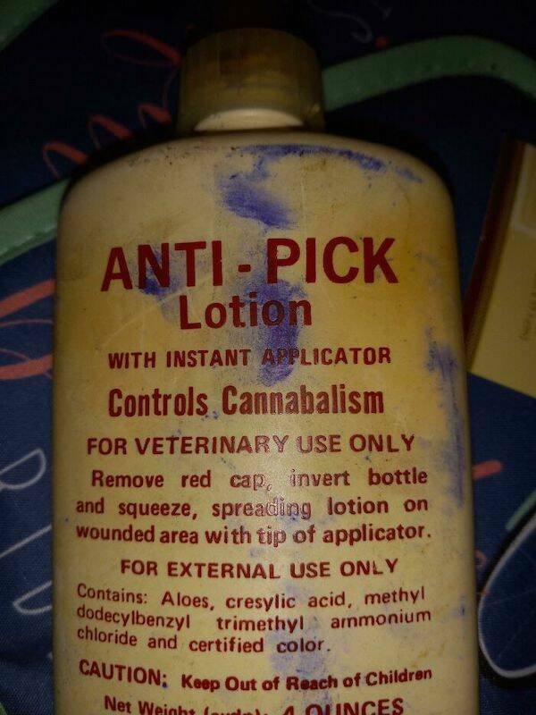 Unusual Finds In Thrift Shops (26 pics)