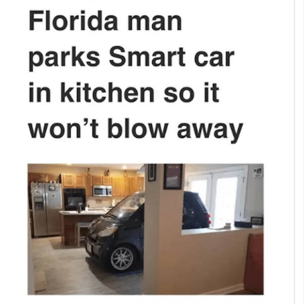 With Humor About Florida (23 pics)