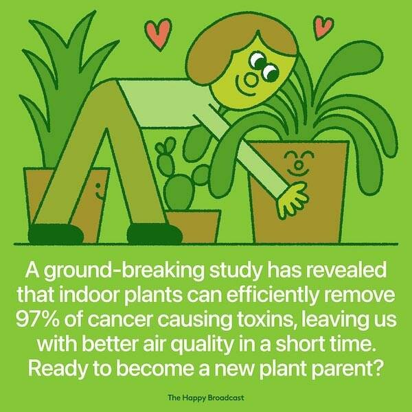Positive News (21 pics)
