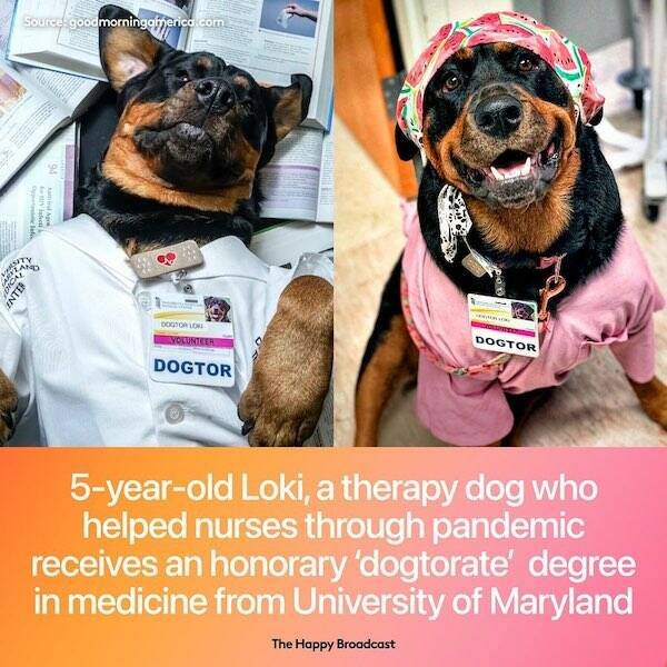 Positive News (21 pics)