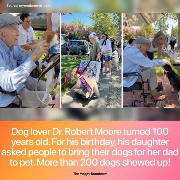 Positive News (21 pics)
