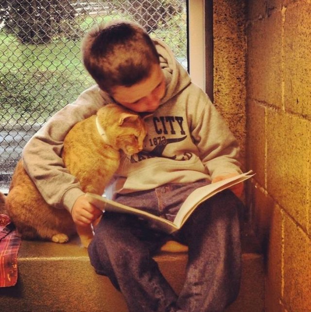 Animals Love Everyone (16 pics)