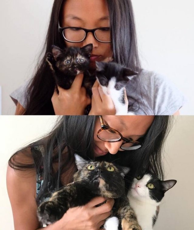 Cute Pets (21 pics)