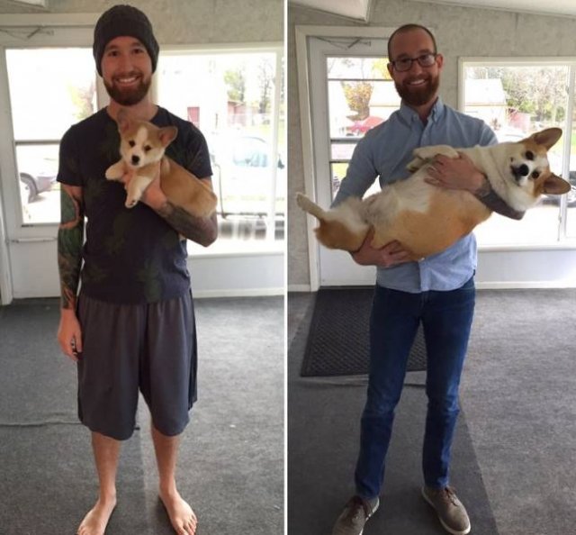 Cute Pets (21 pics)