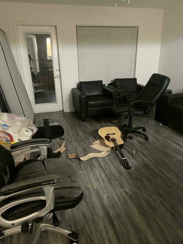 Terrible Roommates (24 pics)