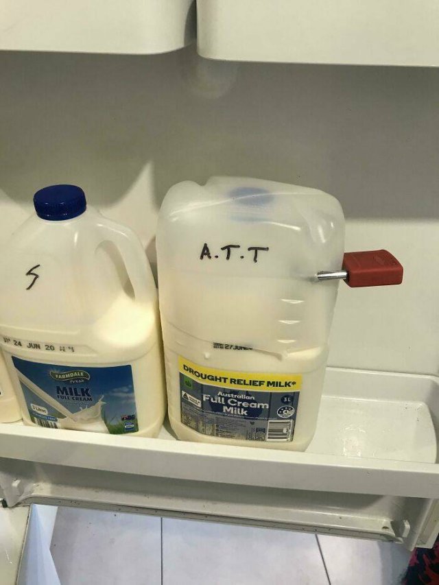 Terrible Roommates (24 pics)