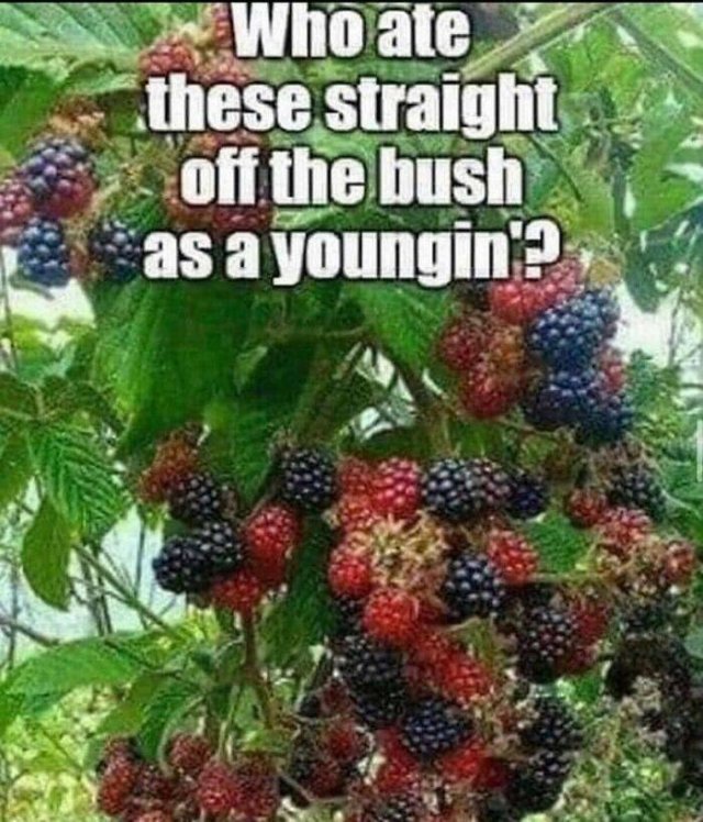 Nostalgic Things (25 pics)