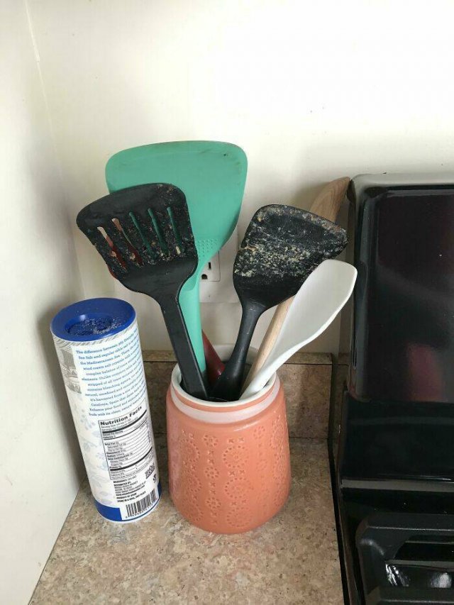 Terrible Roommates (24 pics)