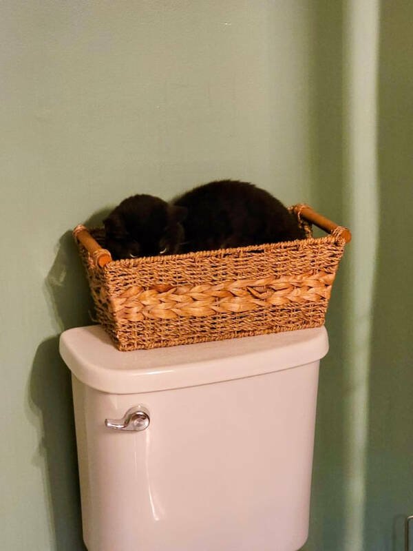 Perfect Matches (17 pics)
