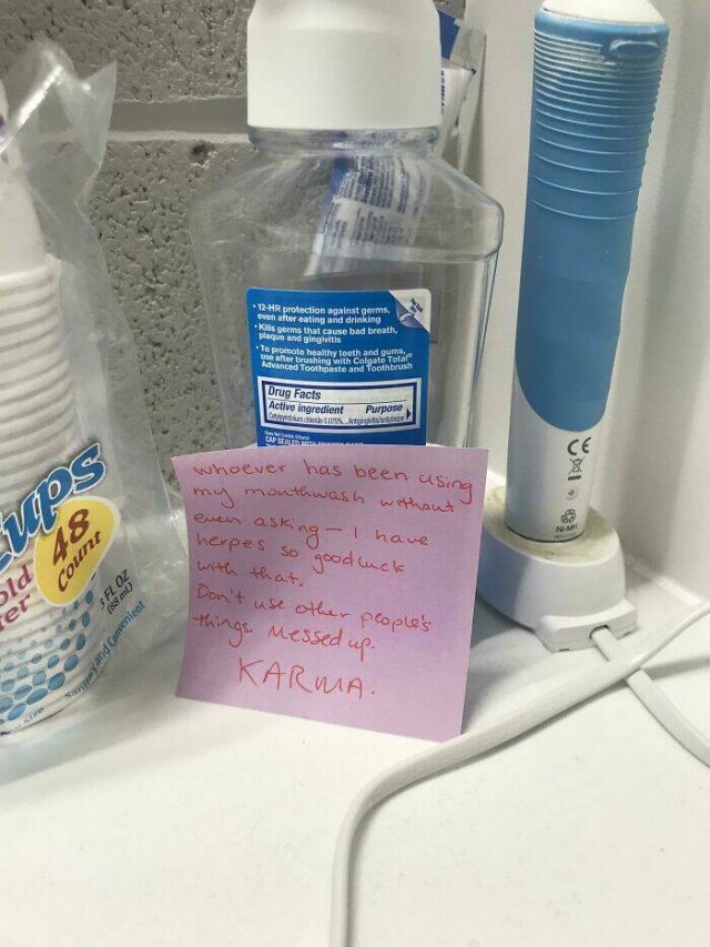 Terrible Roommates (24 pics)