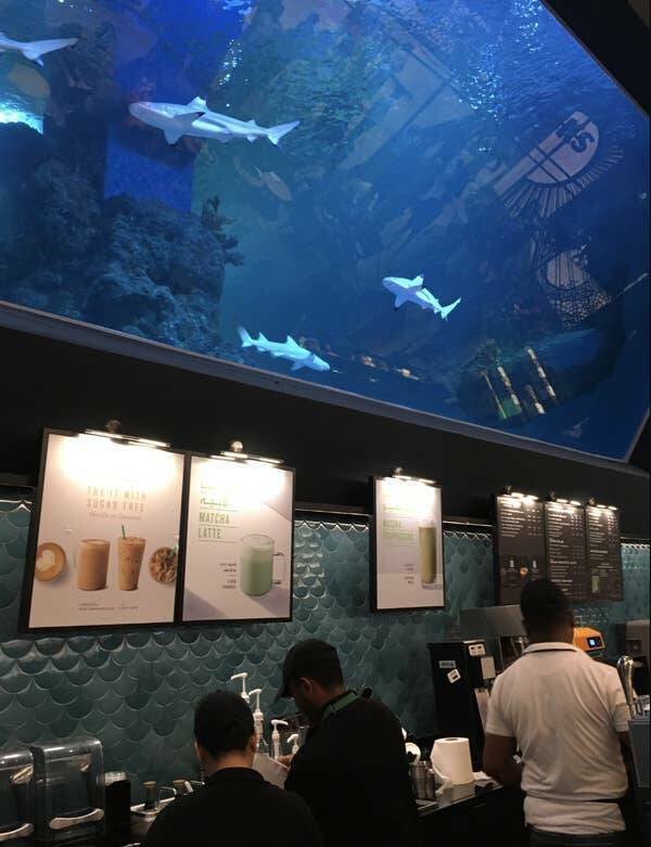 Interesting Finds In Different Countries (27 pics)