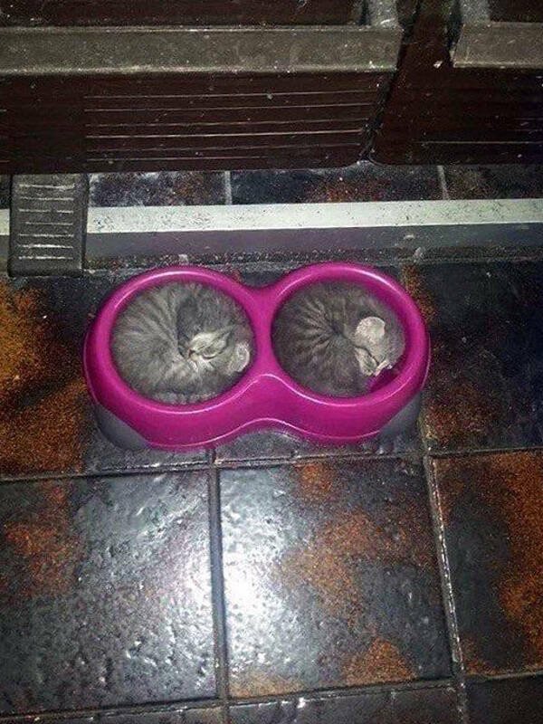 Perfect Matches (17 pics)