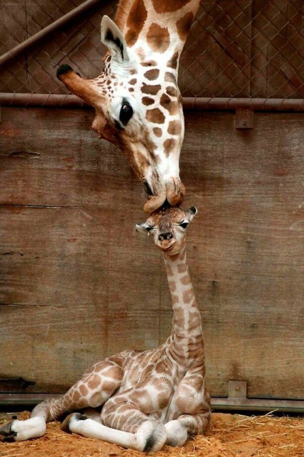 Awesome Nature (34 pics)