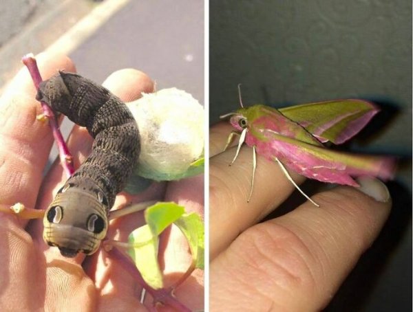 Unusual Finds (16 pics)