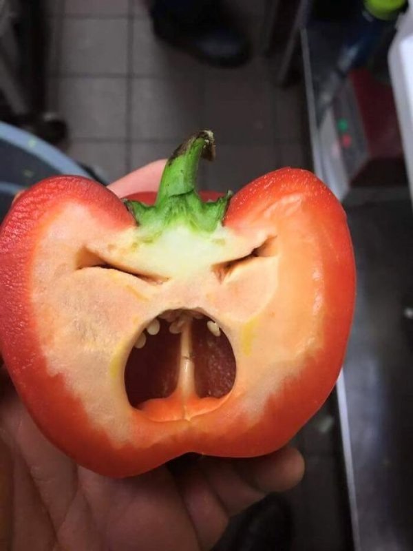 Unusual Finds (16 pics)