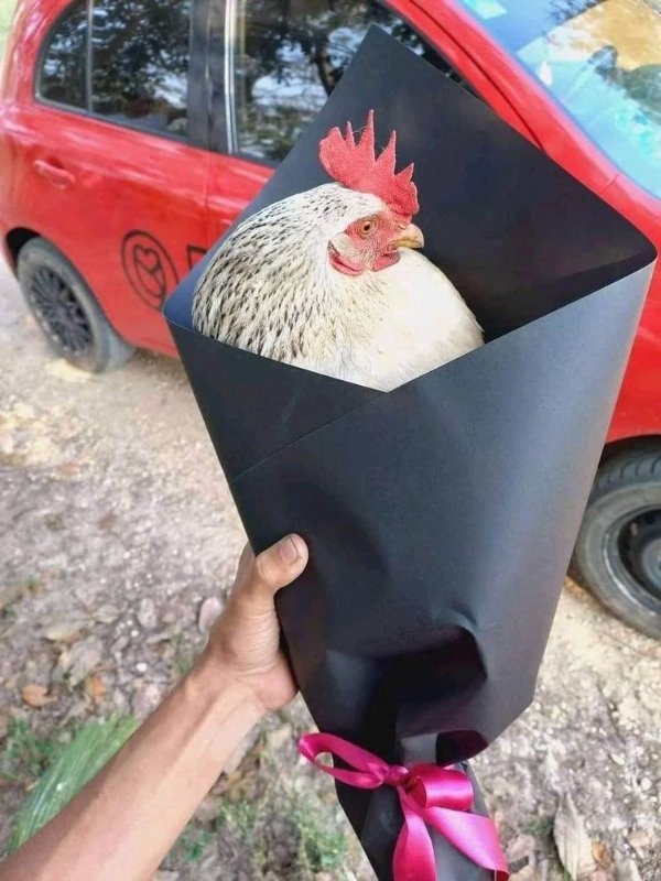 What Is Going On Here? (30 pics)