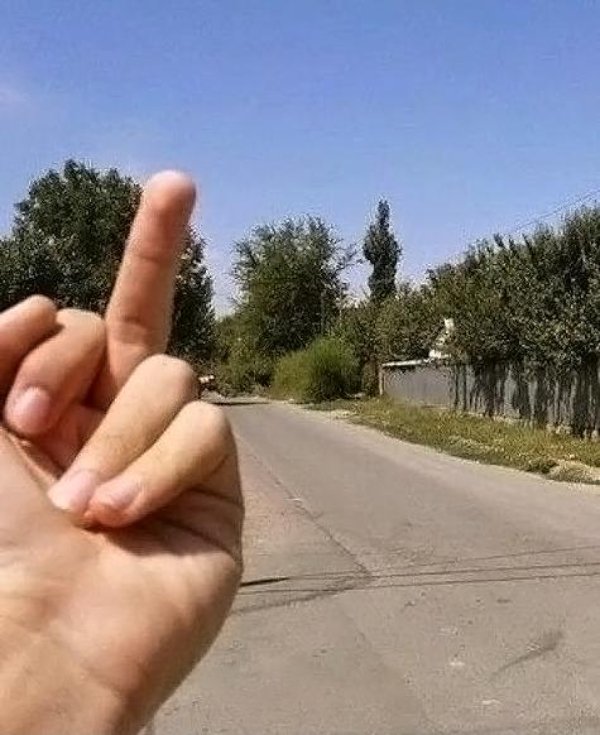 What Is Going On Here? (30 pics)