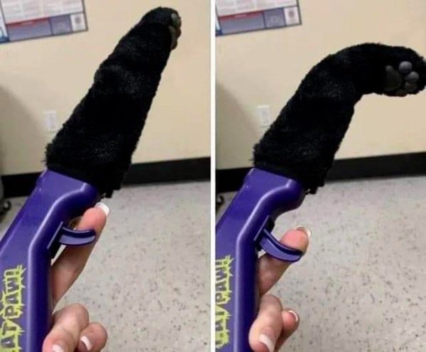 What Is Going On Here? (30 pics)