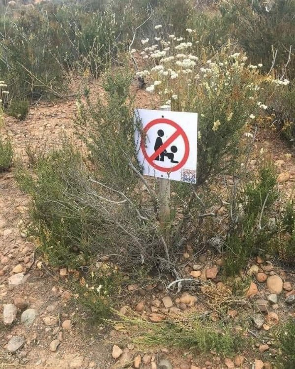 What Is Going On Here? (30 pics)