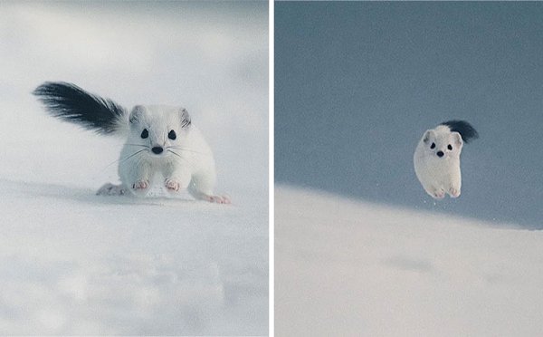 Awesome Nature (34 pics)